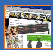 web design